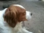 Slika 3