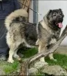 Slika 3