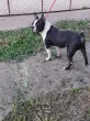 Slika 1