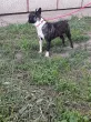 Slika 2