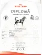 Slika 4