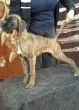 Slika 2
