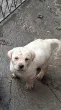 Slika 3