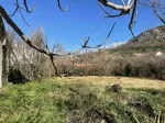 Slika 1