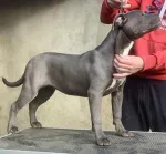 Slika 3