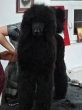 Slika 3