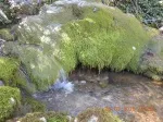 Slika 2
