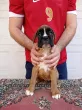 Slika 3