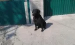 Slika 1