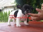 Slika 3