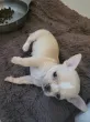 Slika 4