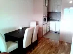 Slika 1