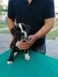 Slika 3