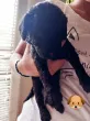 Slika 3