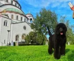 Slika 1