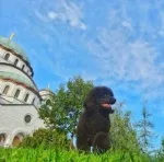 Slika 2