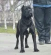 Slika 3