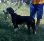 Slika 2