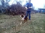 Slika 1