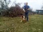 Slika 2