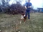 Slika 3