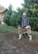 Slika 1