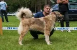 Slika 5