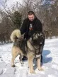 Slika 6