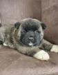 Slika 2