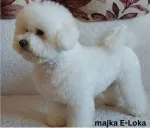 Slika 3
