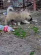 Slika 2