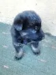 Slika 4