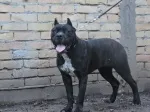 Slika 2