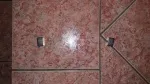 Slika 1