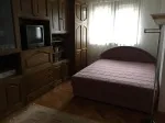 Slika 1