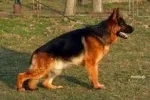 Slika 2