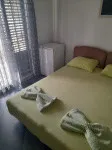 Slika 1