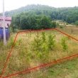 Slika 1