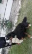 Slika 3