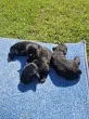Slika 2