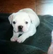 Slika 2