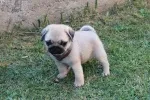 Slika 3