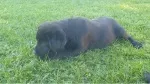 Slika 2