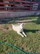 Slika 2