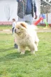 Slika 1