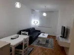 Slika 1