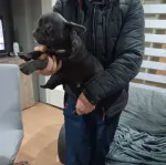 Slika 1