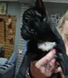 Slika 3