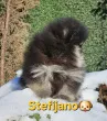 Slika 2
