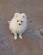 Slika 3